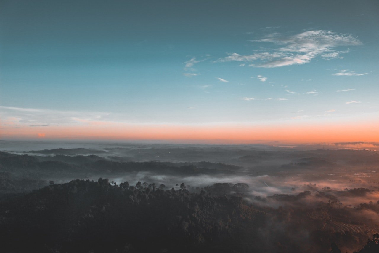 inicio Bird S Eye View Photography Of Green Forest 1208379