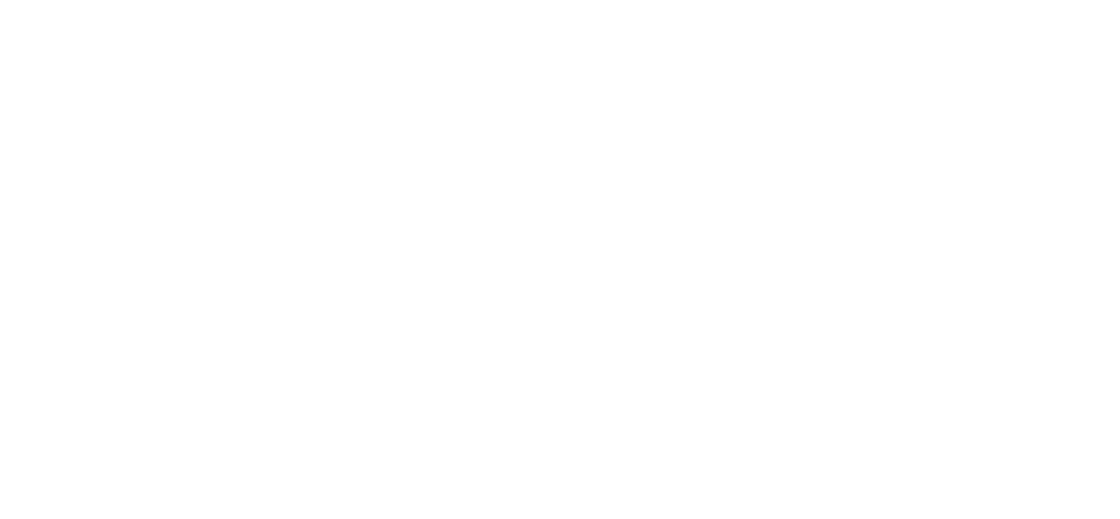 inicio blanco